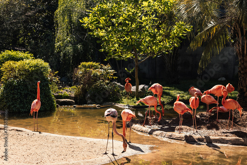 Photography Animals in the zoo