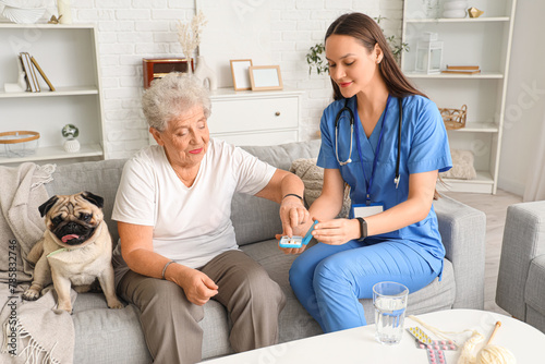 Senior woman with pug dog t...