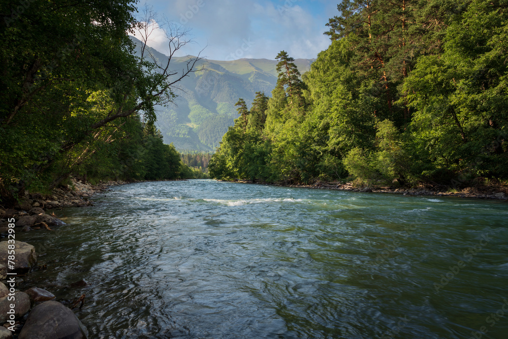 Obraz premium View of the Bolshoy Zelenchuk River in the northern foothills of the Caucasus Mountains near the village of Arkhyz on a summer day, Karachay-Cherkessia, Russia