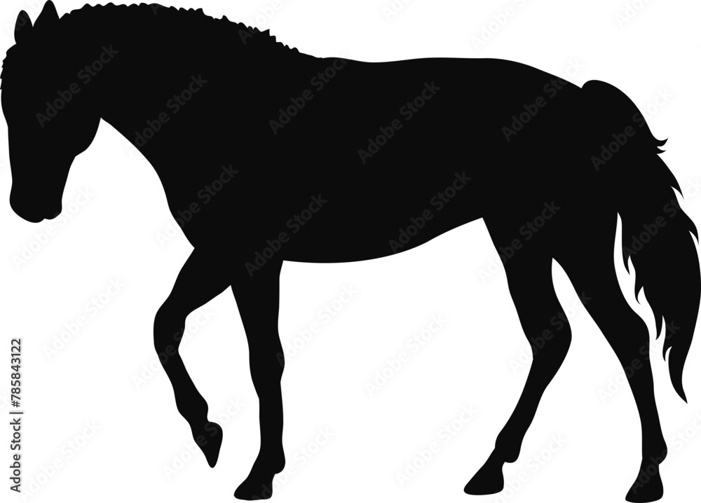 horse, silhouette, animal, vector, black, illustration, sport, riding, rider, equestrian, farm, animals, white, equine, running, isolated, stallion, horses, race, mare, mammal, pony, horseback, nature