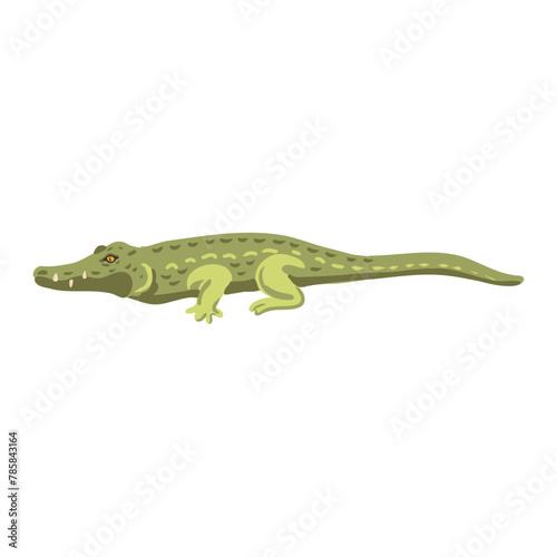 vector drawing green crocodile isolated at white background, hand drawn illustration © cat_arch_angel