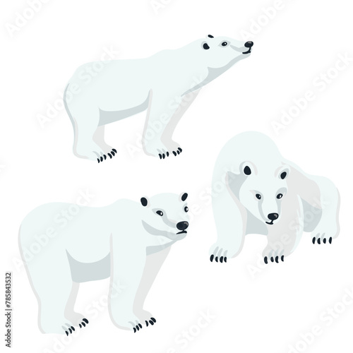 vector drawing polar bears  cartoon animals isolated at white background  hand drawn illustration