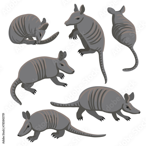 vector drawing armadillo, cartoon animals isolated at white background, hand drawn illustration