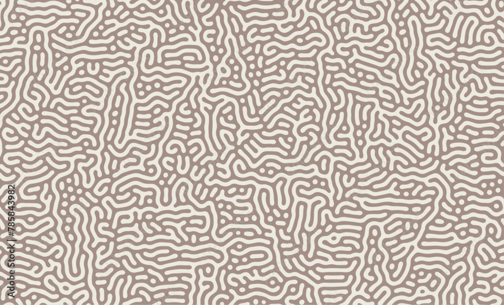 Fototapeta premium White and Brown Abstract Turing Pattern Background