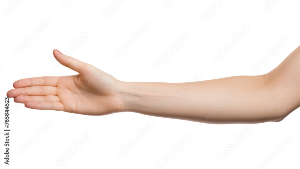 PNG Female hand finger adult white background PNG Female hand finger adult white background