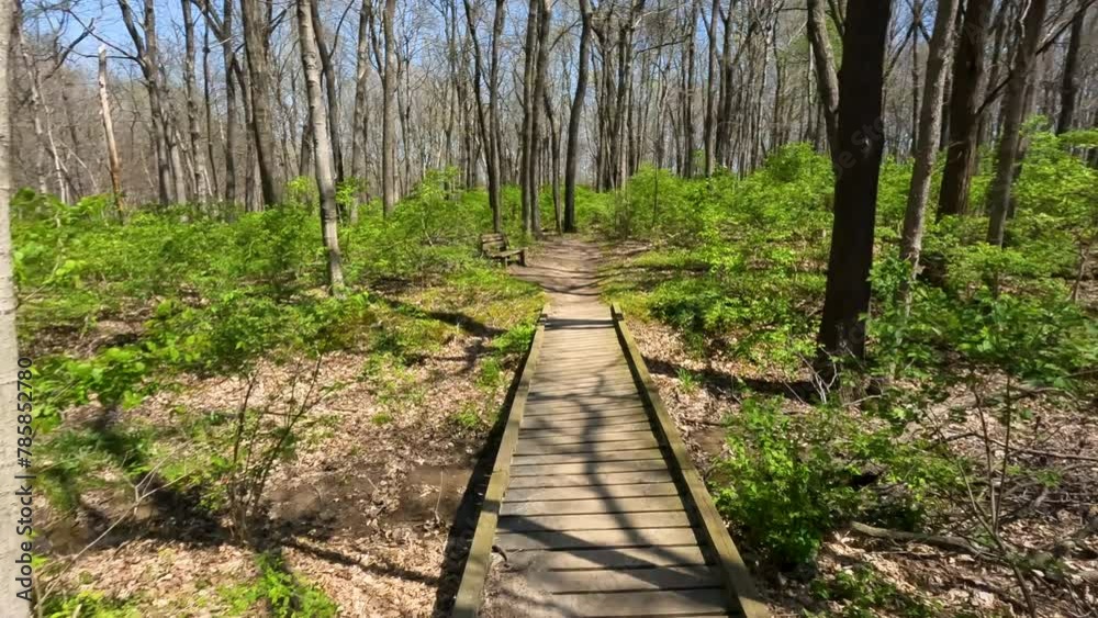 Slow-Motion views moving through a wooded green forest on a narrow dirt trail. Springtime scene with sunlight shining. There is a wooden bridge across the path. A park bench sits next to the trail. Slow-Motion views moving through a wooded green forest on a narrow dirt trail. Springtime scene with sunlight shining. There is a wooden bridge across the path. A park bench sits next to the trail.