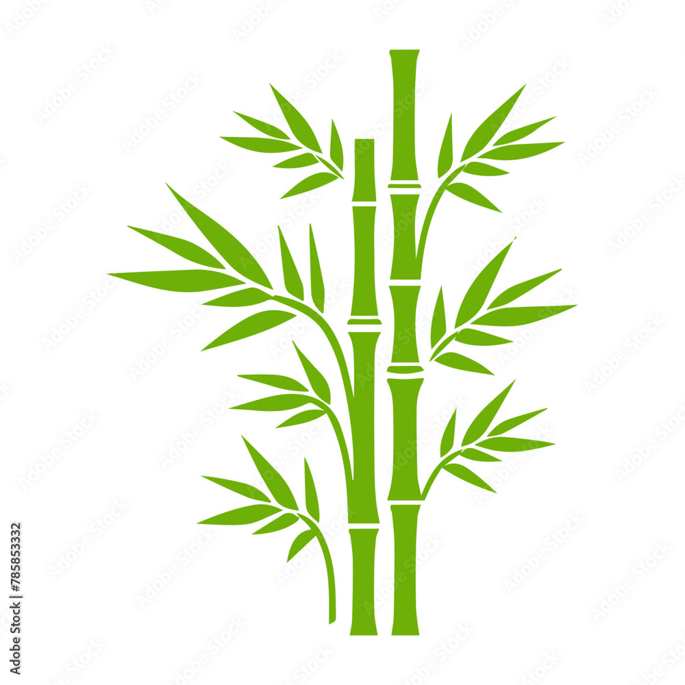 Fototapeta premium Bamboo with Leaves