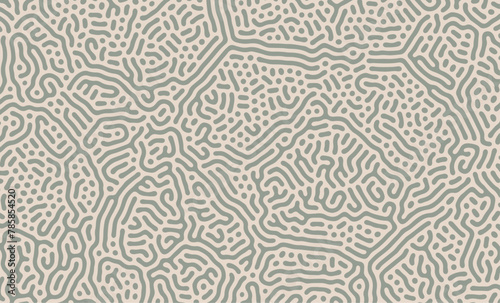 Beautiful Green Turing Pattern Background Wallpaper
