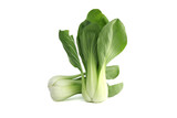 Brassica rapa chinensis, called bok choy isolated on white