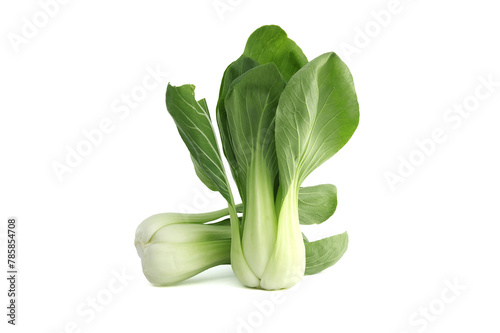 Brassica rapa chinensis, called bok choy isolated on white photo
