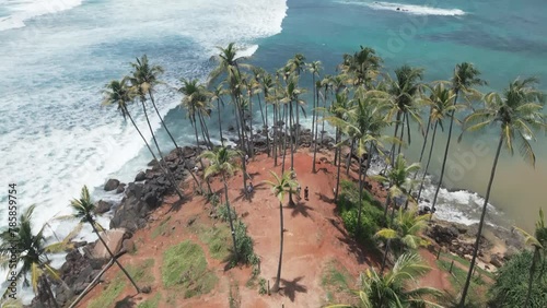 Aerial drone view of palm trees at Mirissa, Sri Lanka