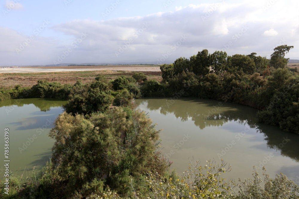 Fototapeta premium Ein Afek Nature Reserve in northern Israel. Wetland with an abundance of animals and accessible trails