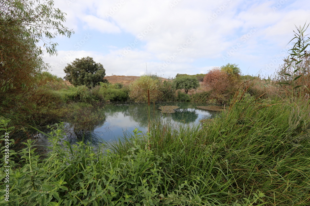 Ein Afek Nature Reserve in northern Israel. Wetland with an abundance of animals and accessible trails