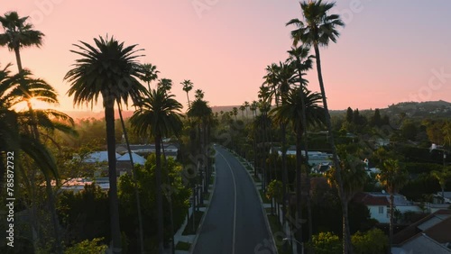 Drone Flying Through Beverly Hills, Palm Tree Lined Iconic Street at Sunset, Pastel Pink Sky Above and Gorgeous Homes Below