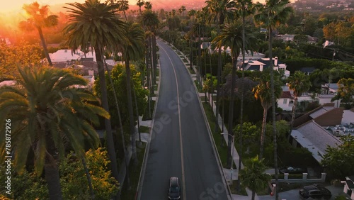 Aerial Drone Shot, Flying Over Iconic Beverly Hills Street at Golden Hour, Palm Trees Lining Street as Cars Drive By Upscale Houses