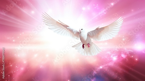 A soft pink background with an amazing white dove flying over Earth