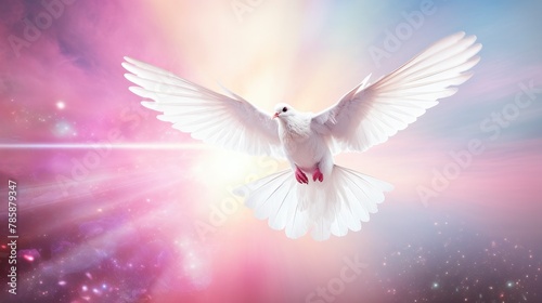 A soft pink background with an amazing white dove flying over Earth © Image