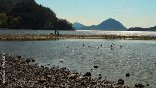 Peaceful Afternoon at Porteau Cove Provincial Park, BC, Canada, April 14, 2024 photo