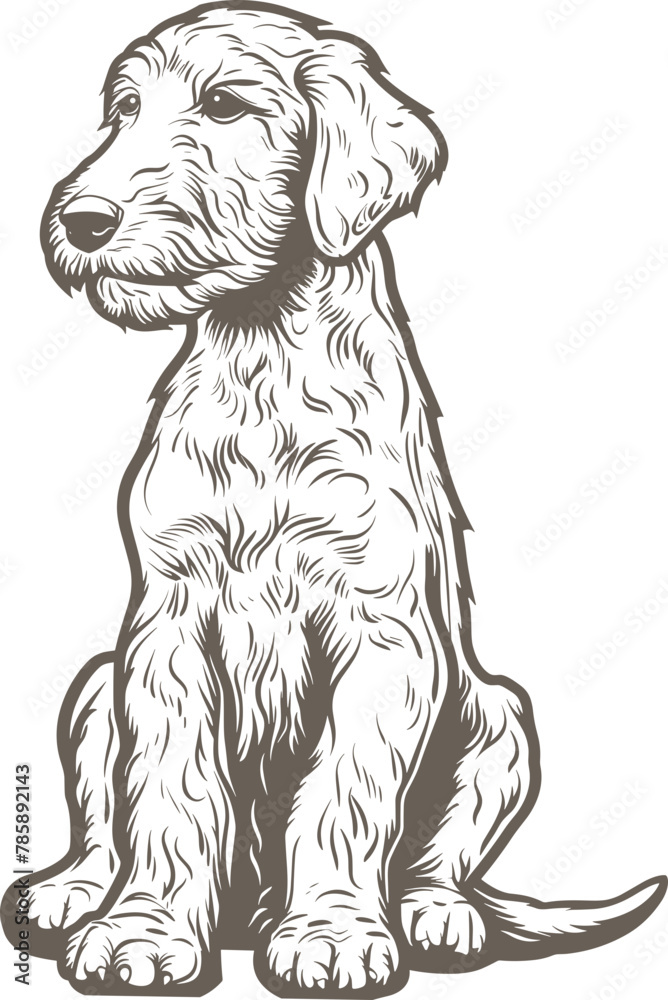 Bedlington terrier clipart design illustration