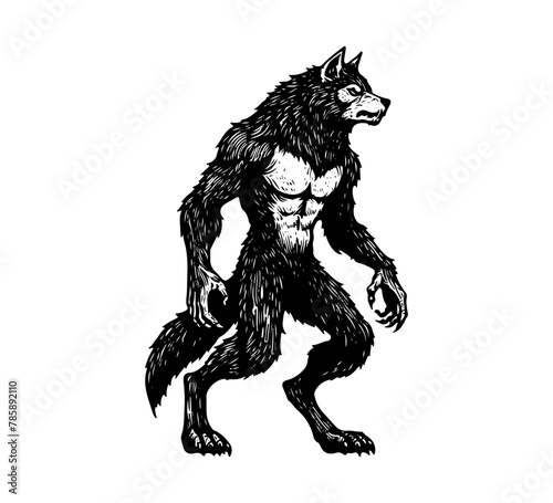 werewolf hand drawn vintage vector illustration