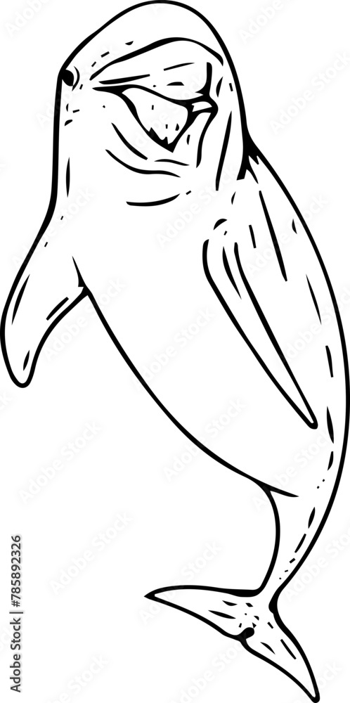 Hand drawn dolphin illustration on transparent background.
Hand drawn dolphin illustration on transparent background.