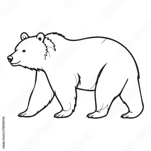 bear line illustration for download