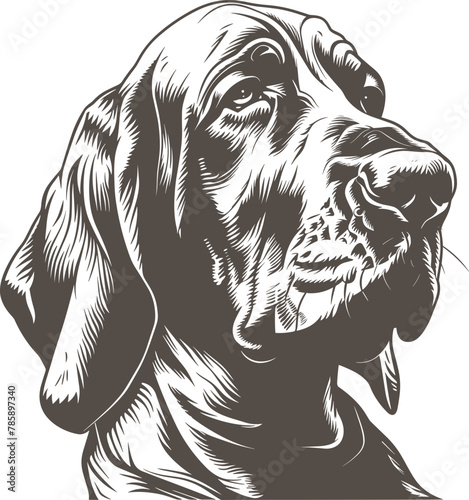 Bloodhound clipart design illustration