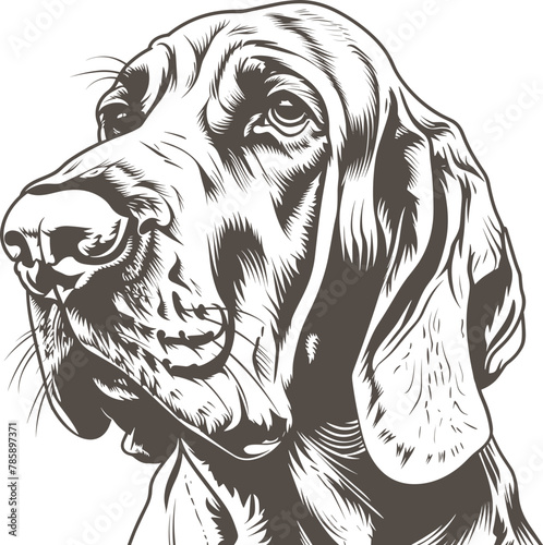 Bloodhound clipart design illustration