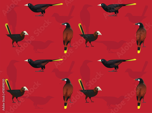 Bird Oropendola Cartoon Cute Seamless Wallpaper Background