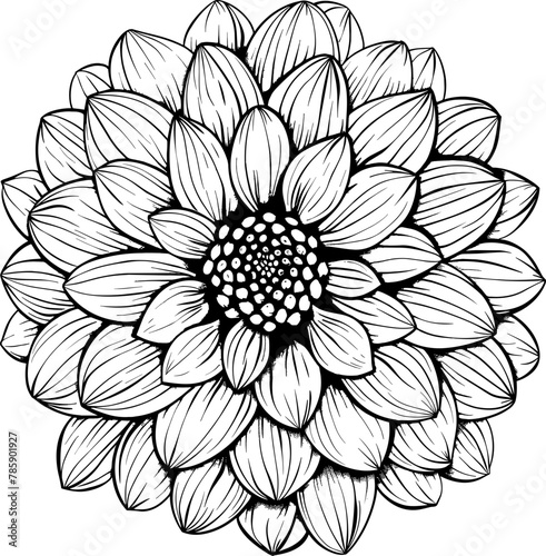 Dahlia clipart design illustration