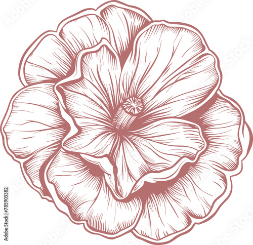 Desert rose clipart design illustration