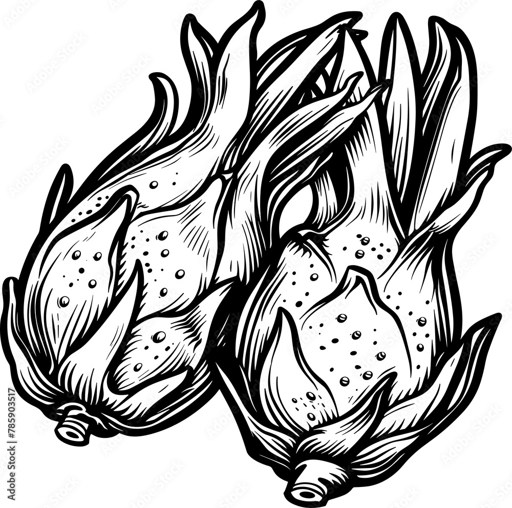 Dragon fruit clipart design illustration