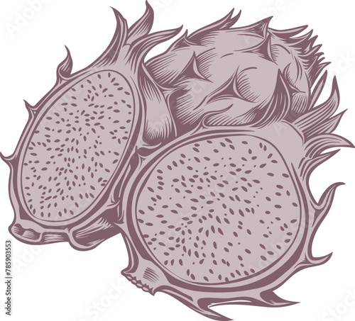 Dragon fruit clipart design illustration