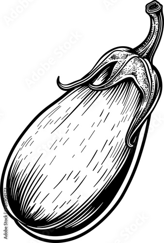 Eggplant clipart design illustration © Larisa