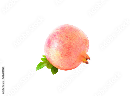 pomegranate fresh fruit isolated on   transparent png
