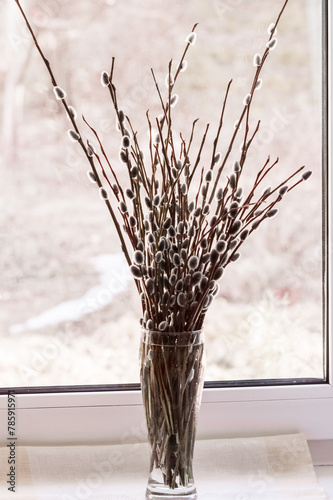 Obraz na płótnie Bouquet of willow branches in a vase on the windowsill w salonie