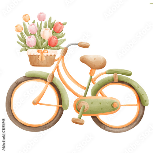 Photography Bicycle