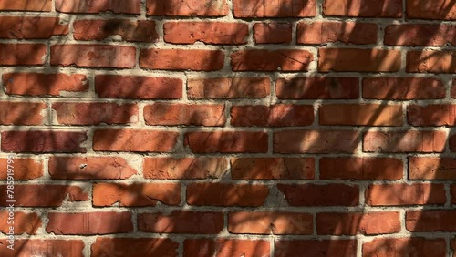 Red brick wall with shadows on it from tree branches and leaves. Tree shadow on red color grunge brick wall background.