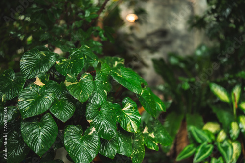 Embrace Nature's Beauty, Re...