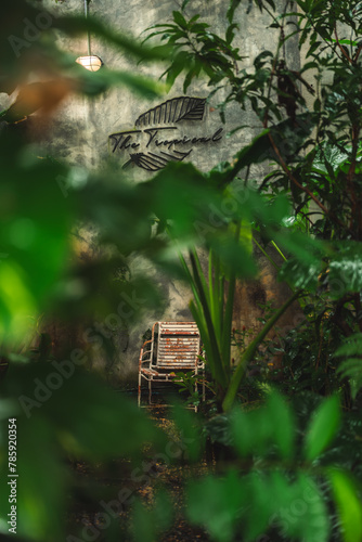 Embrace Nature's Beauty, Re...
