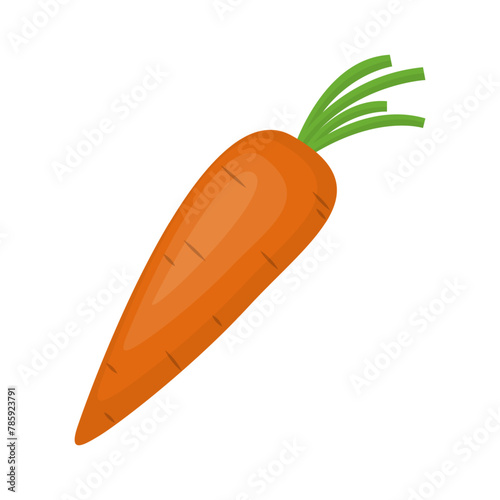 Fresh nature vegetable carrot cartoon vector isolated illustration