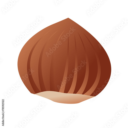 Nature food nuts chestnut cartoon vector isolated illustration
