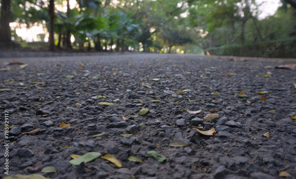 Fototapeta premium Closeup of asphalt road inside joggers park. Tilt up view.