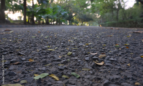 Closeup of asphalt road inside joggers park. Tilt up view.