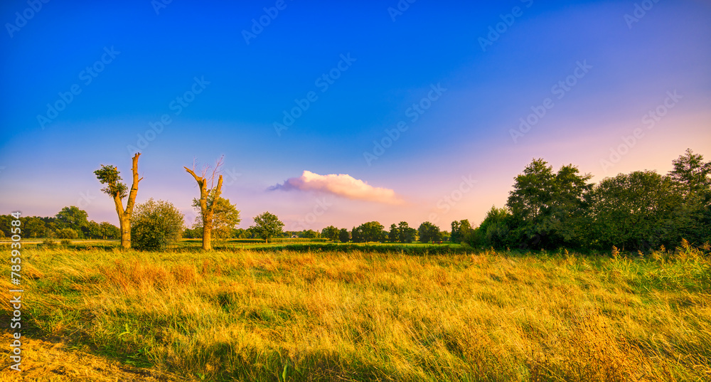 Obraz premium One last cloud remaining in the sky above rural Noord-Brabant near the village of Aarle-Rixtel, The Netherlands.