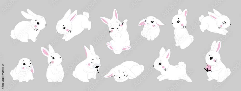 Fototapeta premium Cute white rabbit in various poses. Rabbit animal icon isolated on background. For Moon Festival, Chinese Lunar Year of the Rabbit, Easter decor. White Easter bunny, hare. Wild animals, baby animals