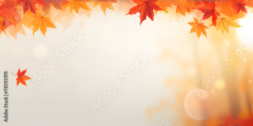 Autumn background maple leaves redleaves picturesque yellowleaves sweaterweather 