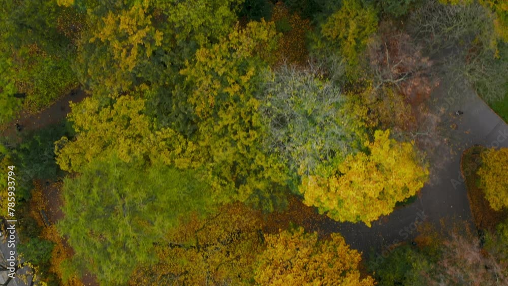 Top-down view of trees with colorful leafs in autumn colors in park with alleys. Top-down view of trees with colorful leafs in autumn colors in park with alleys.
