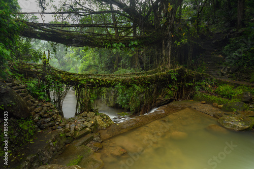Meghalaya's Monsoon Magic: Living Bridges, Milky Way, Waterfalls, Flora and Fauna