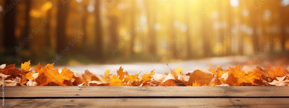 Wooden plank on blurred autumn forest and soft sunlight background.